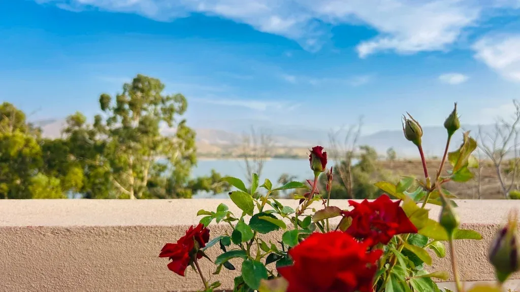 Maison d'hôtes avec terrasse – Secteur Route d'Amizmiz, Marrakech – maison a louer lalla takerkoust100