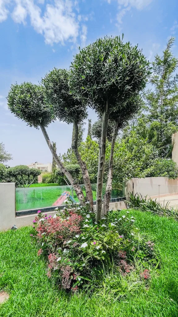 Splendide villa a vendre golf argan marrakech - Photo 9