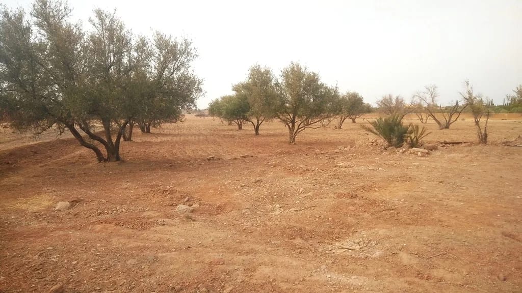 Lot de terrain à vendre zone villa de 2500 m² proche école américaine Marrakech - Photo 2