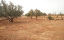 Lot de terrain à vendre zone villa de 2500 m² proche école américaine Marrakech - Photo 5