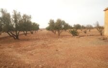 Lot de terrain à vendre zone villa de 2500 m² proche école américaine Marrakech - Photo 6