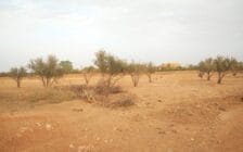Lot de terrain à vendre zone villa de 2500 m² proche école américaine Marrakech - Photo 7