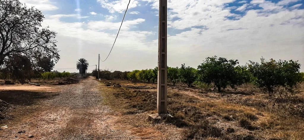 Ferme de 26 hectares à vendre à Marrakech - Photo 11
