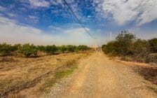 Ferme de 26 hectares à vendre à Marrakech - Photo 13