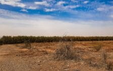 Ferme de 26 hectares à vendre à Marrakech - Photo 19