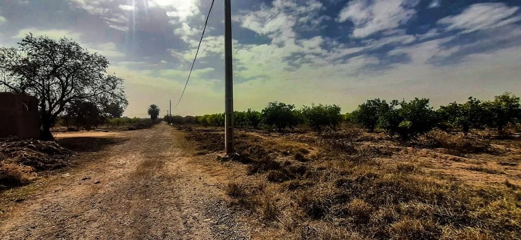 Ferme de 26 hectares à vendre à Marrakech - Photo 2