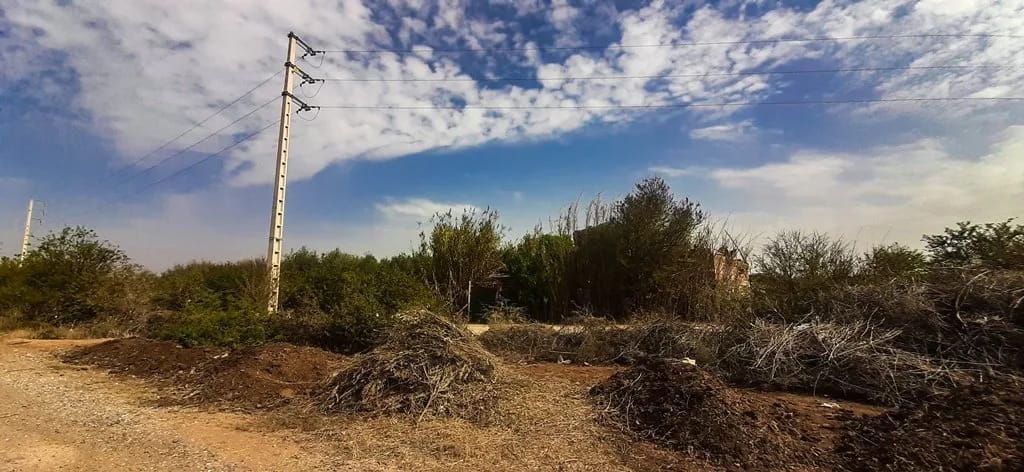Ferme de 26 hectares à vendre à Marrakech - Photo 6