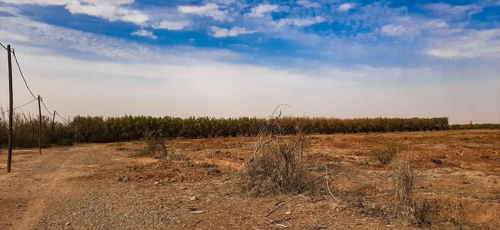Ferme de 26 hectares à vendre à Marrakech - Photo 9