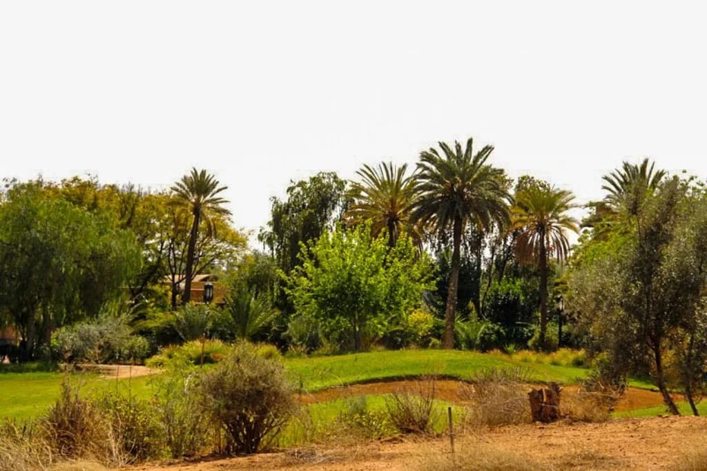 Villa moderne à vendre Golf Amelkis Marrakech - Photo 15