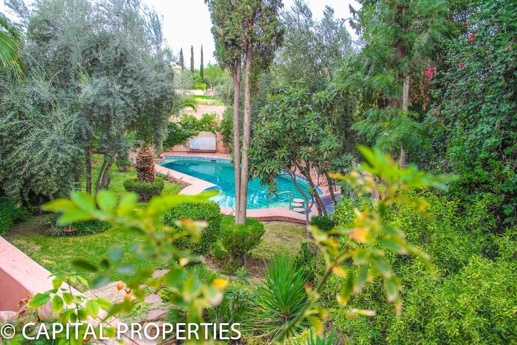 Villa d'architecte a vendre Amelkis grappe 2 - Photo 2
