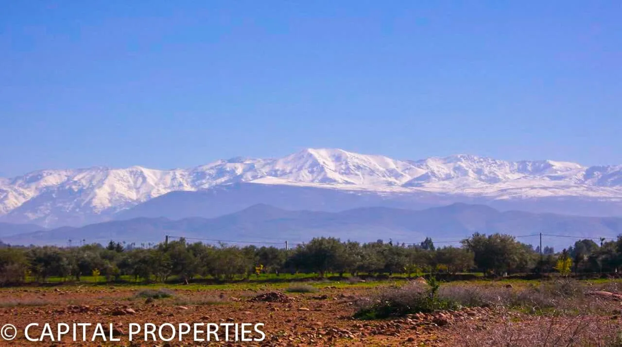 Terrain SD1 a vendre route ourika - Photo 2