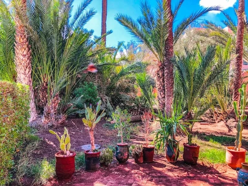 Location Appartement Rez de Jardin palmeraie village 3 - Photo 15